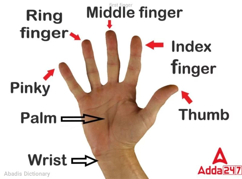 first finger